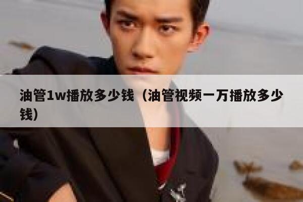 油管1w播放多少钱（油管视频一万播放多少钱） 第1张