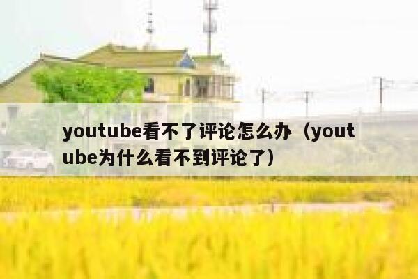 youtube看不了评论怎么办（youtube为什么看不到评论了） 第1张