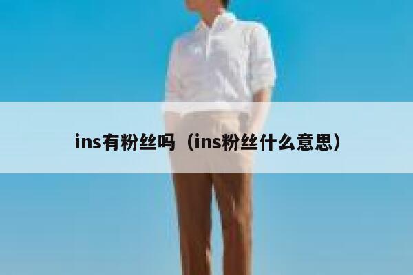 ins有粉丝吗（ins粉丝什么意思） 第1张