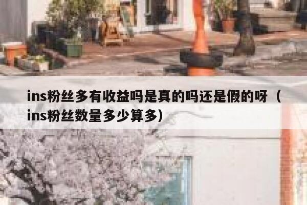 ins粉丝多有收益吗是真的吗还是假的呀（ins粉丝数量多少算多） 第1张