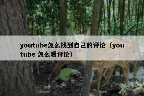 youtube怎么找到自己的评论（youtube 怎么看评论） 第1张
