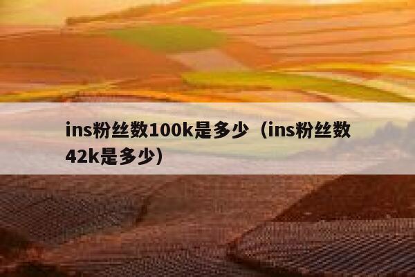 ins粉丝数100k是多少（ins粉丝数42k是多少） 第1张