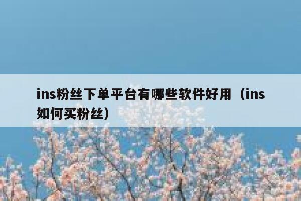 ins粉丝下单平台有哪些软件好用（ins如何买粉丝） 第1张