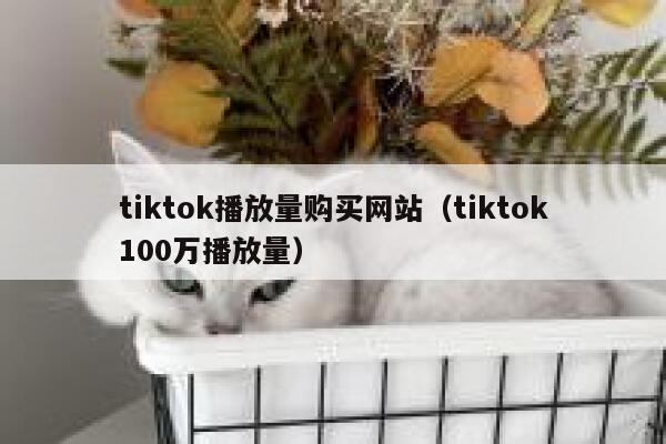 tiktok播放量购买网站（tiktok100万播放量） 第1张