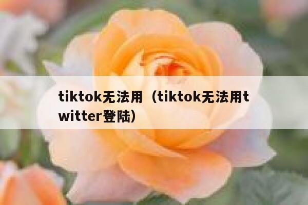 tiktok无法用（tiktok无法用twitter登陆） 第1张