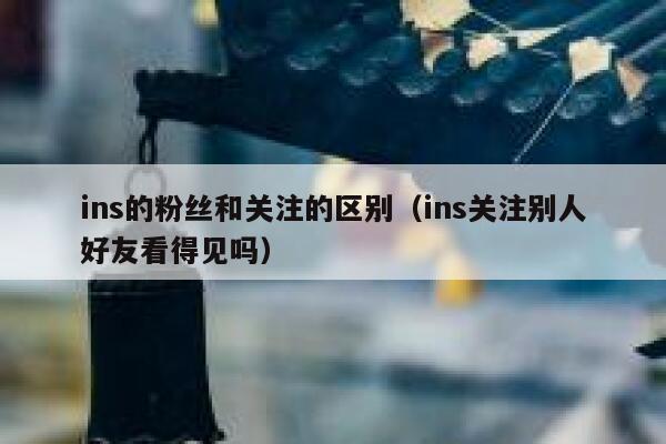 ins的粉丝和关注的区别（ins关注别人好友看得见吗） 第1张