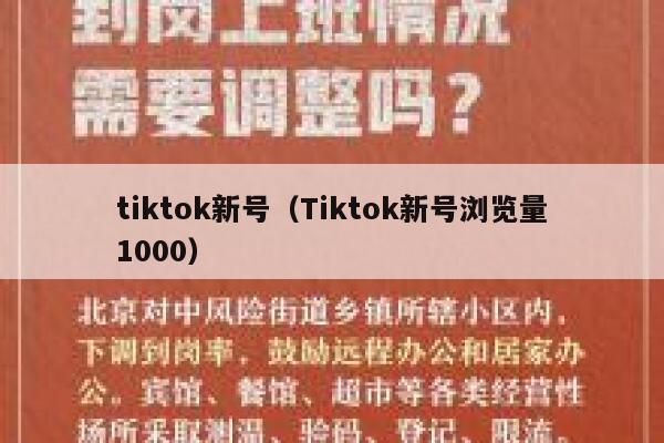 tiktok新号（Tiktok新号浏览量1000） 第1张