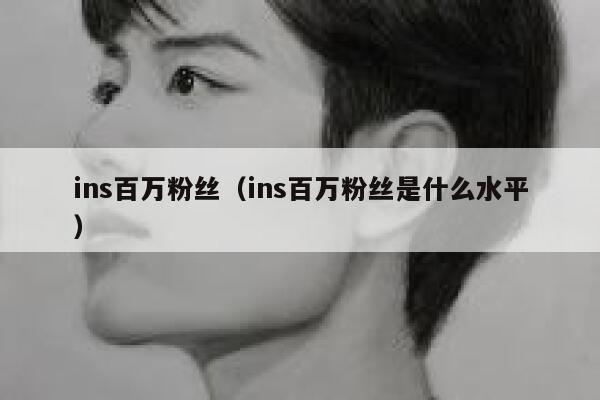 ins百万粉丝（ins百万粉丝是什么水平） 第1张