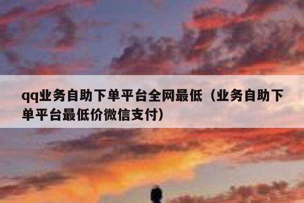 qq业务自助下单平台全网最低（业务自助下单平台最低价微信支付） 第1张