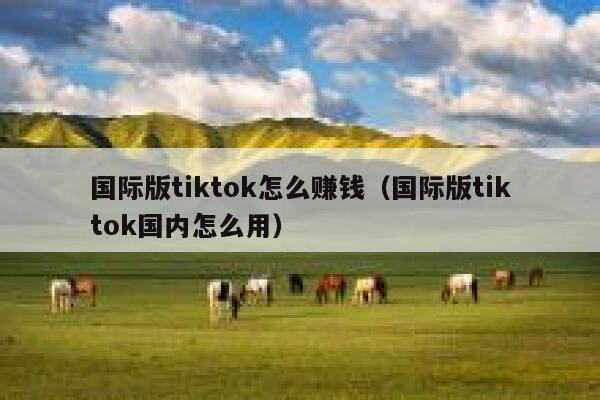 国际版tiktok怎么赚钱（国际版tiktok国内怎么用） 第1张