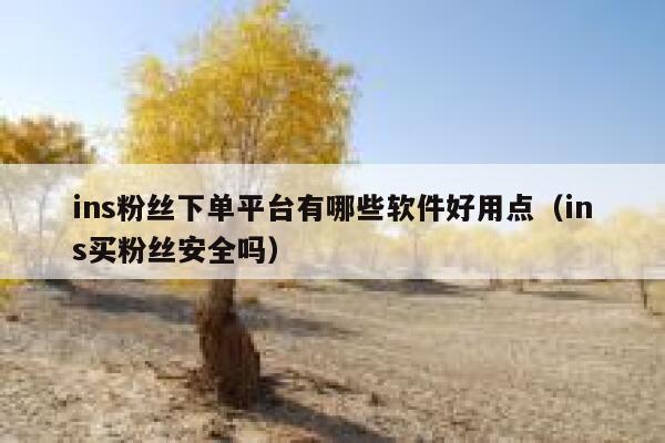 ins粉丝下单平台有哪些软件好用点（ins买粉丝安全吗） 第1张