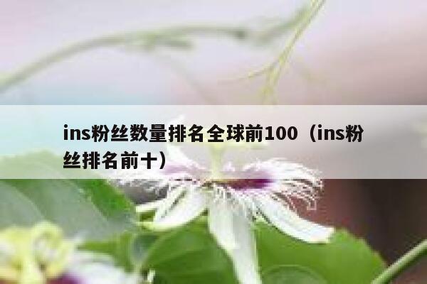 ins粉丝数量排名全球前100（ins粉丝排名前十） 第1张