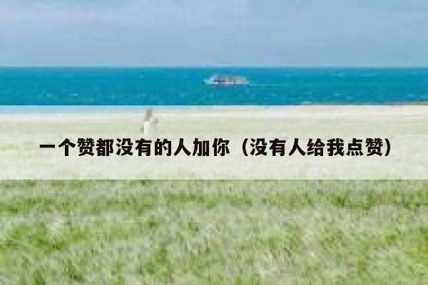 一个赞都没有的人加你（没有人给我点赞） 第1张