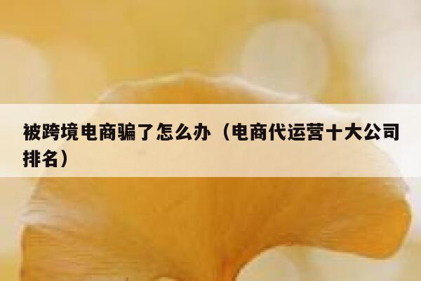 被跨境电商骗了怎么办（电商代运营十大公司排名） 第1张