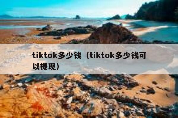 tiktok多少钱（tiktok多少钱可以提现） 第1张