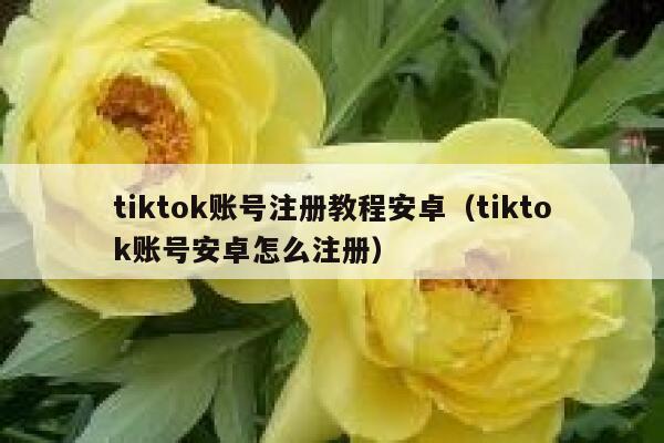 tiktok账号注册教程安卓（tiktok账号安卓怎么注册） 第1张