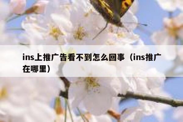 ins上推广告看不到怎么回事（ins推广在哪里） 第1张