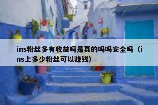 ins粉丝多有收益吗是真的吗吗安全吗（ins上多少粉丝可以赚钱） 第1张