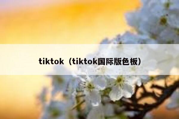 tiktok（tiktok国际版色板） 第1张