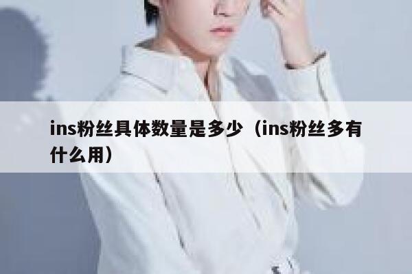 ins粉丝具体数量是多少（ins粉丝多有什么用） 第1张