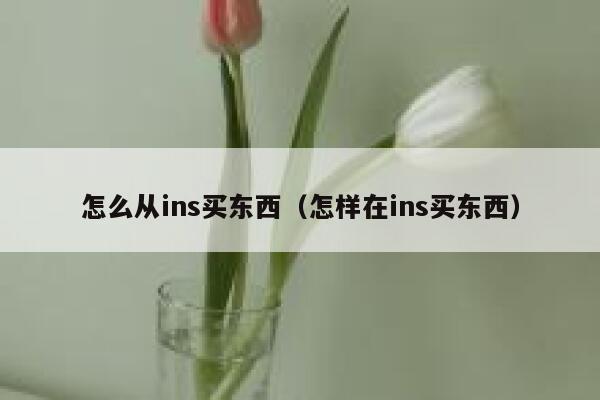 怎么从ins买东西（怎样在ins买东西） 第1张