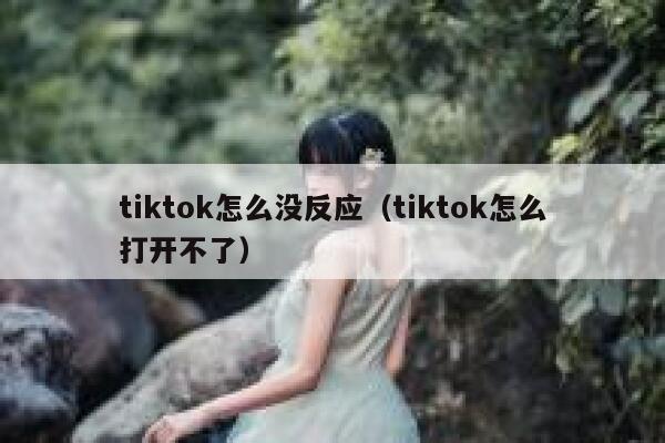 tiktok怎么没反应（tiktok怎么打开不了） 第1张