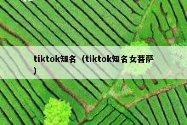 tiktok知名（tiktok知名女菩萨） 第1张
