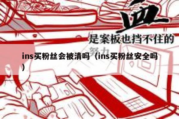 ins买粉丝会被清吗（ins买粉丝安全吗） 第1张