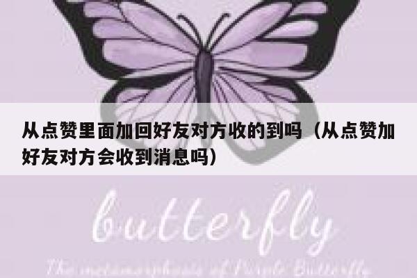 从点赞里面加回好友对方收的到吗（从点赞加好友对方会收到消息吗） 第1张