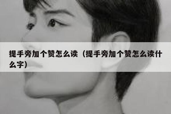 提手旁加个赞怎么读（提手旁加个赞怎么读什么字） 第1张