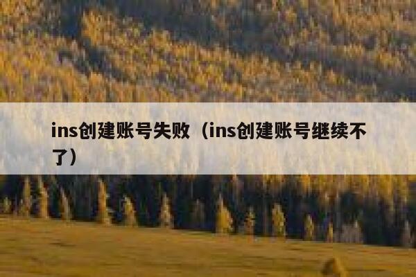 ins创建账号失败（ins创建账号继续不了） 第1张