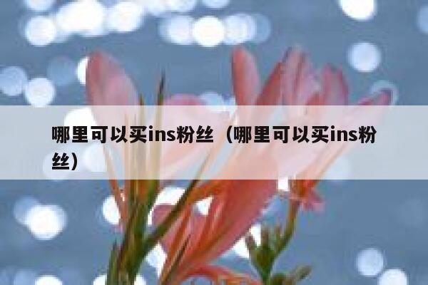 哪里可以买ins粉丝（哪里可以买ins粉丝） 第1张
