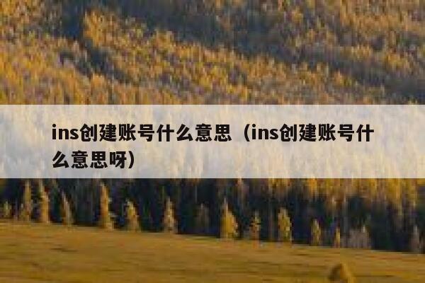 ins创建账号什么意思(ins创建账号什么意思呀) 第1张 ins创建账号什么意思(ins创建账号什么意思呀) 第1张