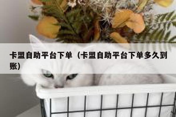 卡盟自助平台下单（卡盟自助平台下单多久到账） 第1张