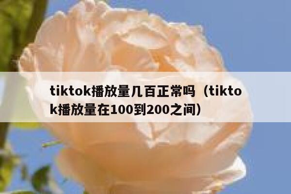 tiktok播放量几百正常吗（tiktok播放量在100到200之间） 第1张