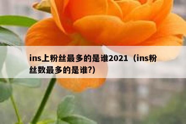ins上粉丝最多的是谁2021（ins粉丝数最多的是谁?） 第1张