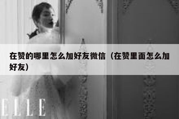 在赞的哪里怎么加好友微信(在赞里面怎么加好友) 第1张 在赞的哪里怎么加好友微信(在赞里面怎么加好友) 第1张