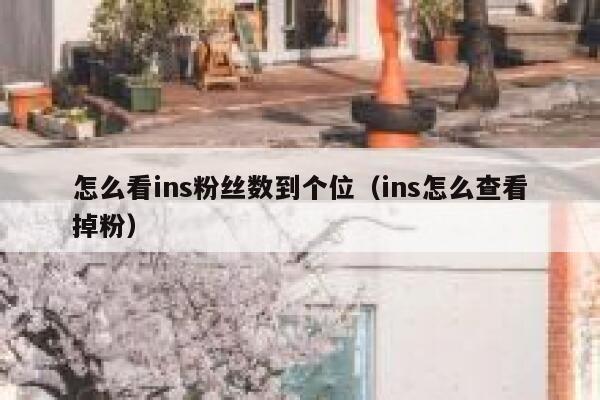 怎么看ins粉丝数到个位（ins怎么查看掉粉） 第1张