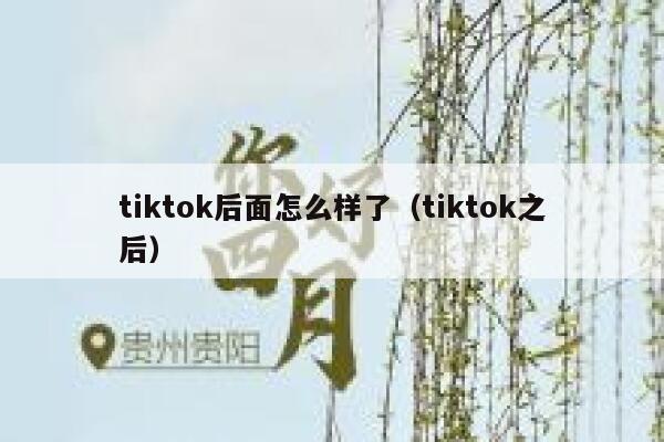 tiktok后面怎么样了（tiktok之后） 第1张