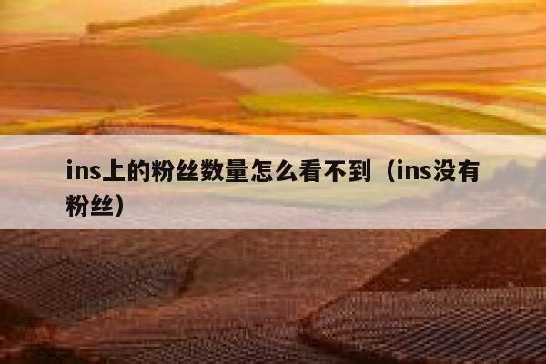 ins上的粉丝数量怎么看不到（ins没有粉丝） 第1张