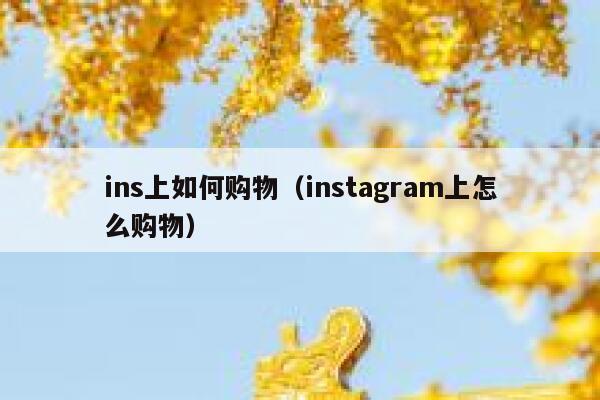 ins上如何购物（instagram上怎么购物） 第1张