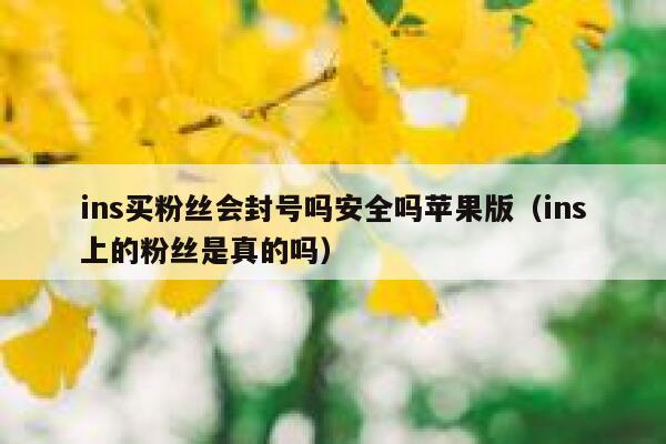 ins买粉丝会封号吗安全吗苹果版(ins上的粉丝是真的吗) 第1张 ins买粉丝会封号吗安全吗苹果版(ins上的粉丝是真的吗) 第1张