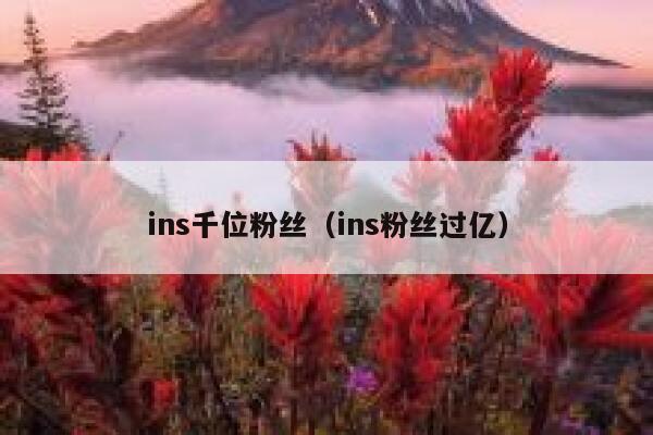 ins千位粉丝(ins粉丝过亿) 第1张 ins千位粉丝(ins粉丝过亿) 第1张