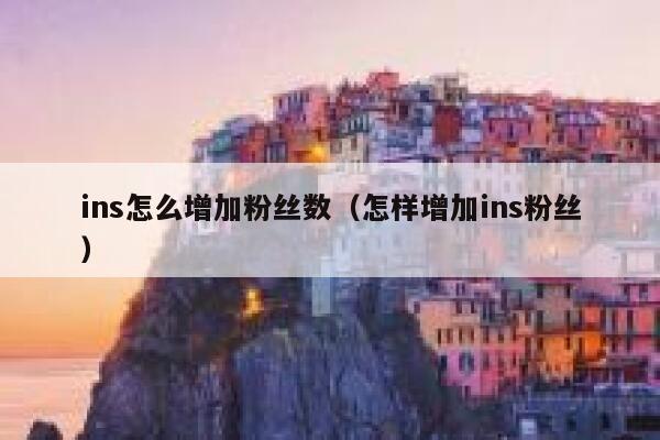 ins怎么增加粉丝数（怎样增加ins粉丝） 第1张