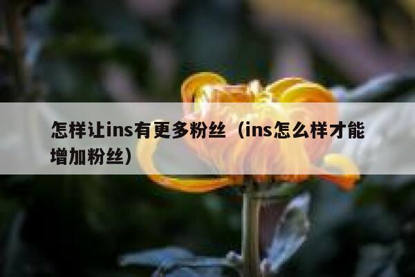 怎样让ins有更多粉丝（ins怎么样才能增加粉丝） 第1张