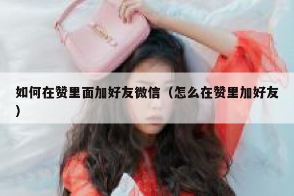 如何在赞里面加好友微信（怎么在赞里加好友） 第1张