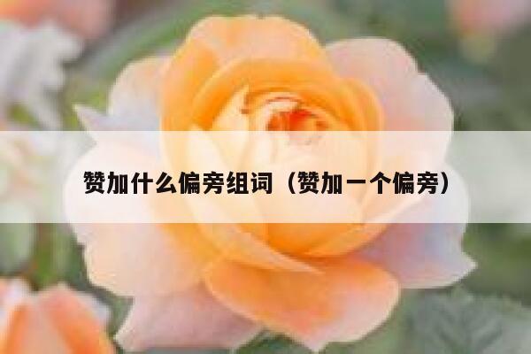 赞加什么偏旁组词（赞加一个偏旁） 第1张