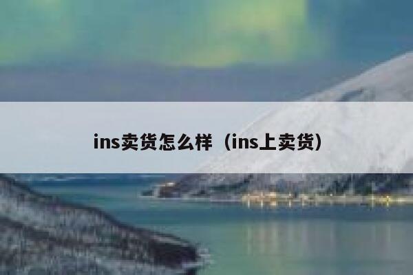 ins卖货怎么样（ins上卖货） 第1张