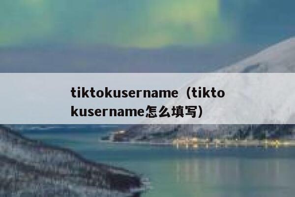 tiktokusername（tiktokusername怎么填写） 第1张