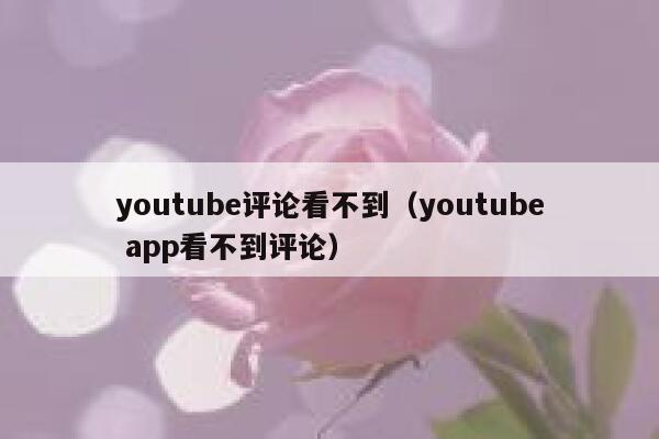 youtube评论看不到（youtube app看不到评论） 第1张